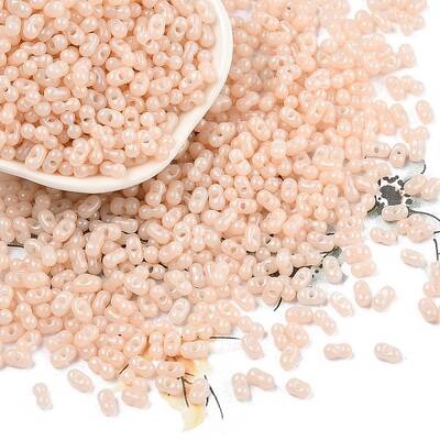 Baking Paint Glass Seed Beads