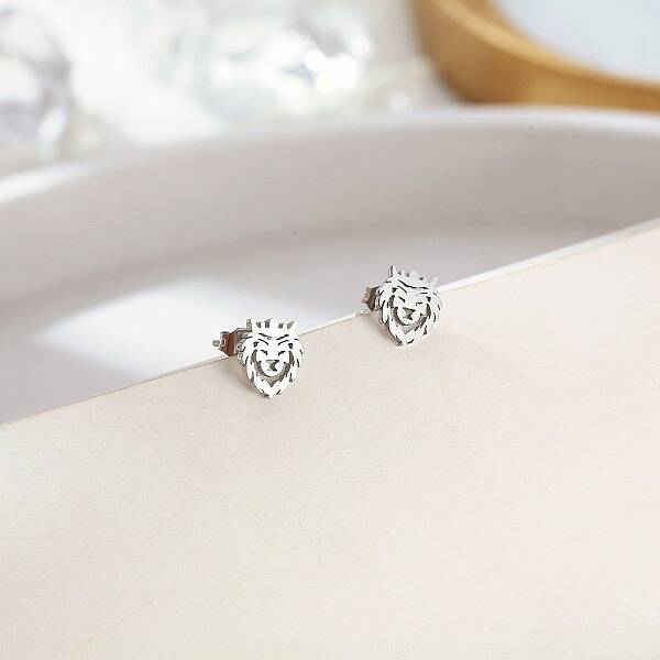 Non-Tarnish 304 Stainless Steel Stud Earrings for Women