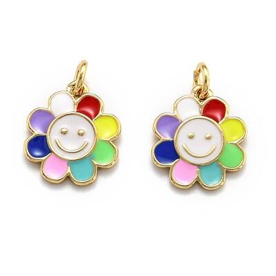 Brass Enamel Charms