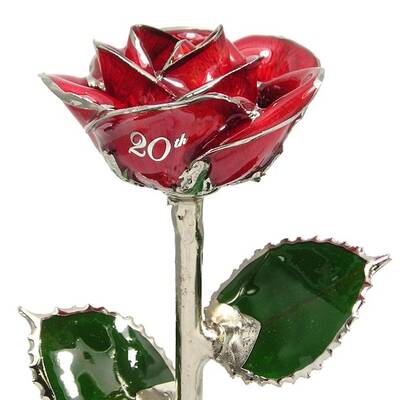 Personalized Rose 20th Anniversary Gift