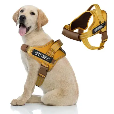 Adjustable Reflective Dog Harness, No Pull Dog Harness with Handle, Soft Dog Vest, Easy Walking and Training Harness for Smal...