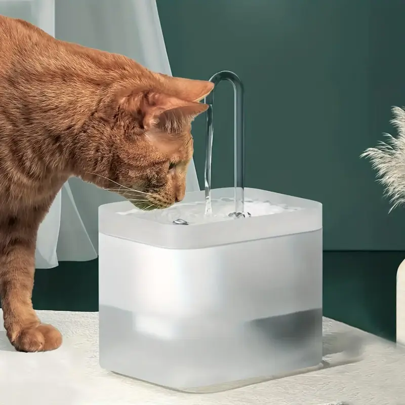 USB Charging Cat Automatic Filter Water Dispenser With Clear Elbow Water Pipe