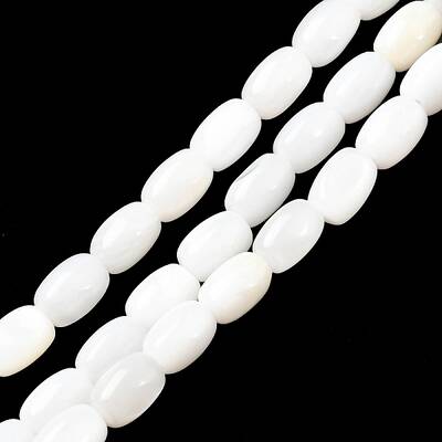 Natural Freshwater Shell Beads Strands
