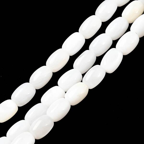 Natural Freshwater Shell Beads Strands
