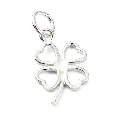 925 Sterling Silver Charms