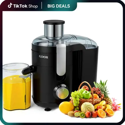 800W Juicer with 3\