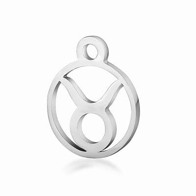 Non-Tarnish 201 Stainless Steel Charms