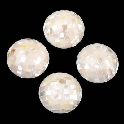 Natural White Shell Beads
