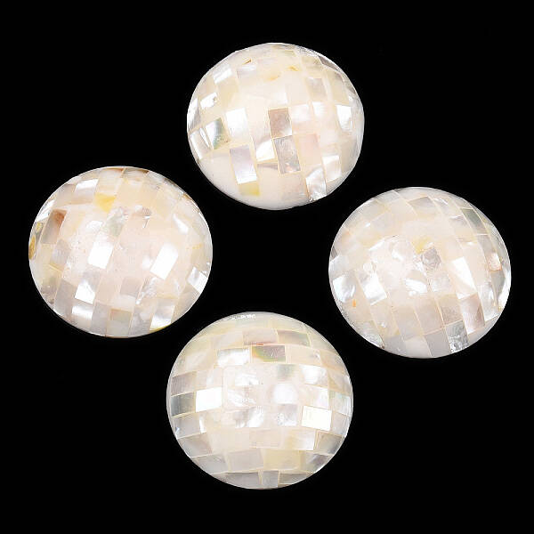 Natural White Shell Beads