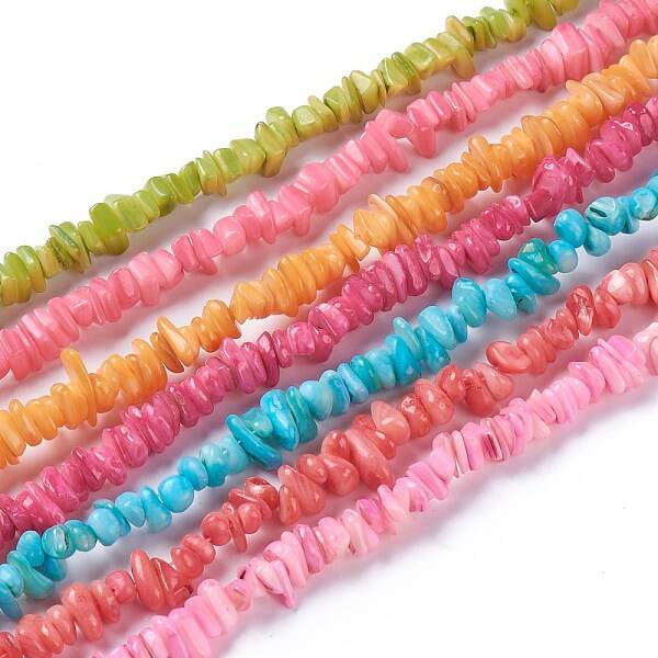 Natural Freshwater Shell Beads Strands