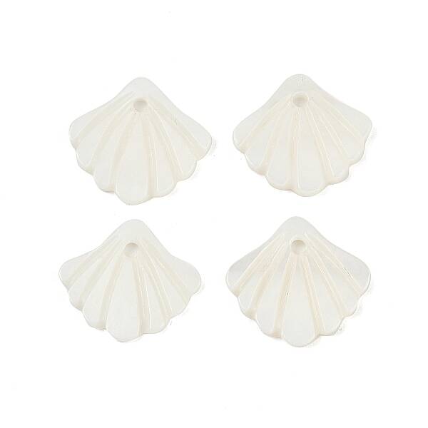 Natural Freshwater Shell Charms