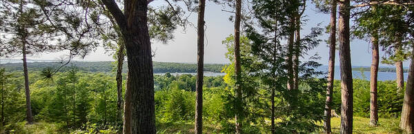 Door County’s Northern Peninsula: Blooming Orchards and Shining Bays