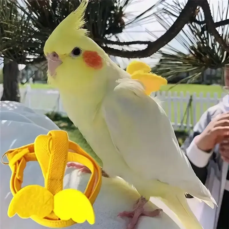 1pcs Adjustable Parrot Bird Harness Leash Set Anti-bite Training Harness Parrots Outdoor Flying Rope Cockatiel Small Birds Su...