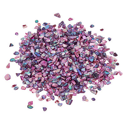 1 Bags Abalone Shell Flakes Cabochons