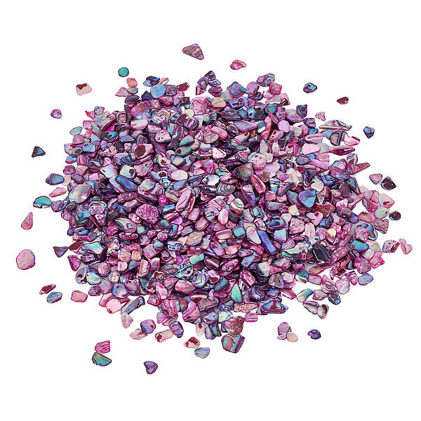 1 Bags Abalone Shell Flakes Cabochons
