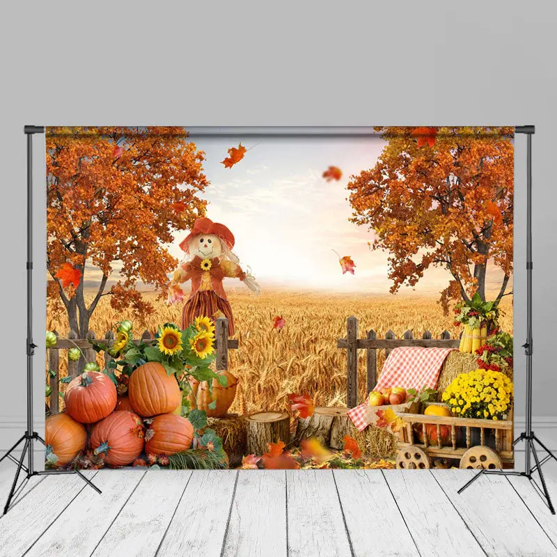 Sunset Maple Tree Pumpkin Gold Rye Autumn Backdrop - Aperturee