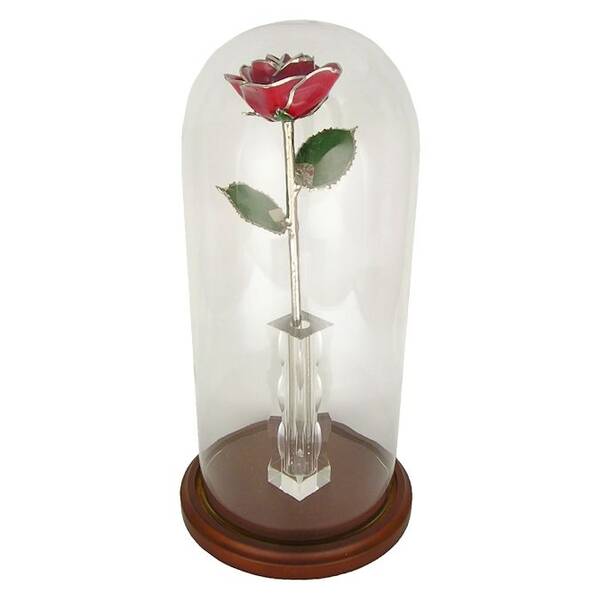 Enchanted Silver Rose: 11 Trimmed Rose