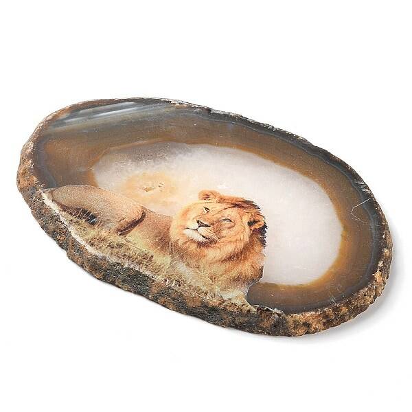 Printed Natural Agate Slice Stone Ornament