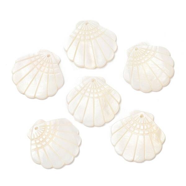 Natural Freshwater Shell Pendants