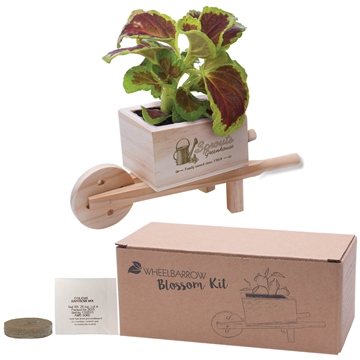 100 Custom Wooden Wheel Barrow Blossom Kit - Pine Construction