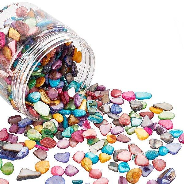 Natural Shell Beads