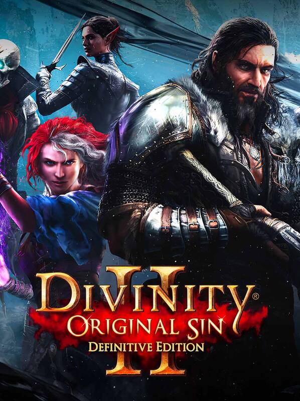 Divinity: Original Sin 2 - Definitive Edition | GOG