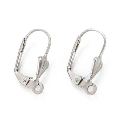 Tarnish Resistant 304 Stainless Steel Leverback Earring Findings