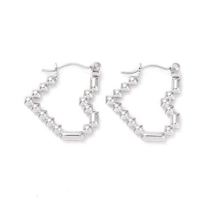 Non-Tarnish 304 Stainless Steel Hoop Earrings for Women