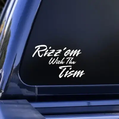 Rizz'em With The Tism Vinyl Decal Sticker Premium All-Weather Durability Truck Window Decal Many Color Car Easy Install Instr...