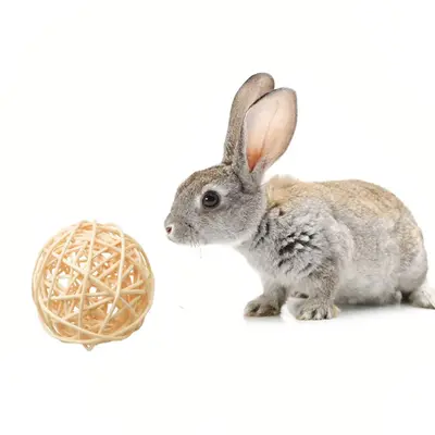 Random Small Animal Activity Toy Branch Ball, Rolling Chew Toy for Rabbits & Guinea Pigs, Pet Cage Entertainment Accessories