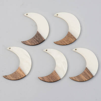Opaque Resin & Walnut Wood Pendants