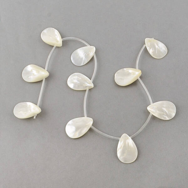 Natural Sea Shell Beads Strands