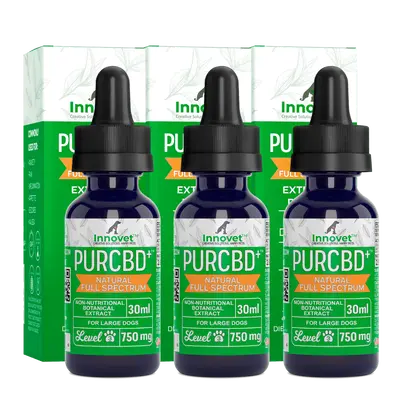 CBD Oil Triple Value Pack