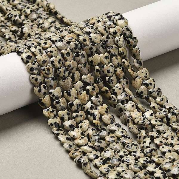 Natural Dalmatian Jasper Beads Strands