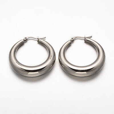 Non-Tarnish Ring 304 Stainless Steel Hoop Earrings