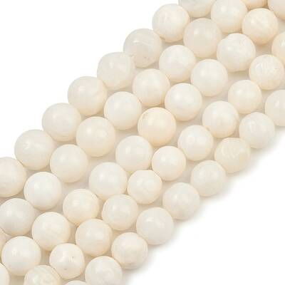Natural White Shell Beads Strands
