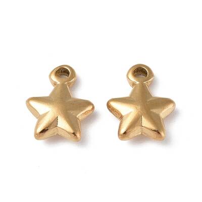 Ion Plating(IP) 304 Stainless Steel Charms