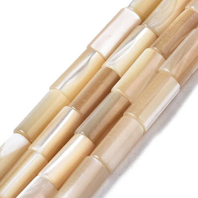 Natural Trochid Shell/Trochus Shell Beads Strands