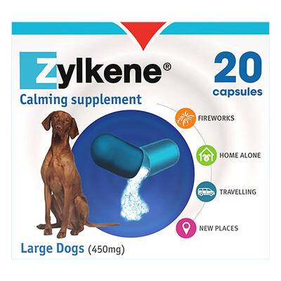 Zylkene Calming Supplement For Large Dogs 450mg 20 Capsules