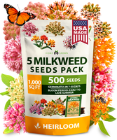 HOME GROWN Milkweed Flower Seeds - 500+ Heirloom Perennial Wildflower Seeds (5 Individual Varieties) Supports Monarch Habitat...