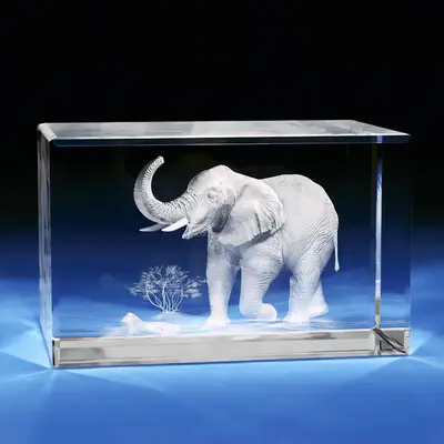 3D Memory Crystal™ - Tabletop - Rectangle - Elephant-Large