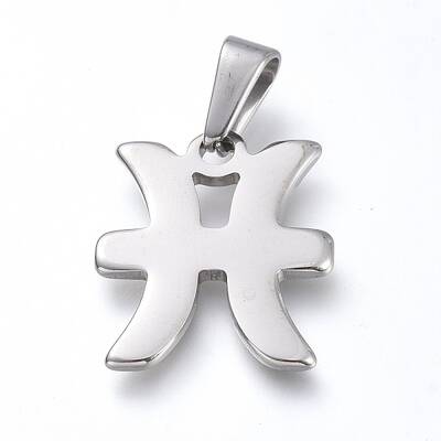 Non-Tarnish 304 Stainless Steel Pendants