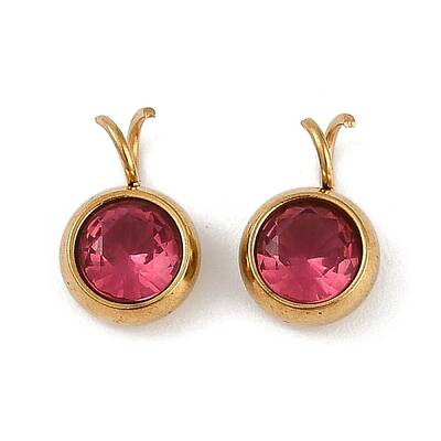 Ion Plating(IP) 304 Stainless Steel Micro Pave Cubic Zirconia Charms