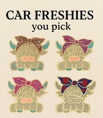 Car Freshie- You Pick
