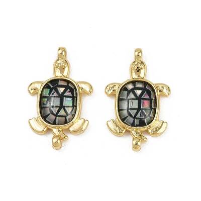 Brass Pave Natural Paua Shell Tortoise Connector Charms