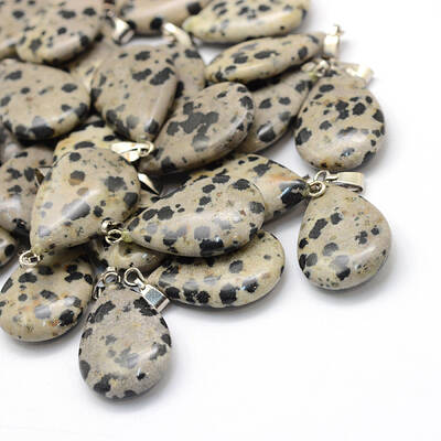 Teardrop Natural Dalmatian Jasper Pendants