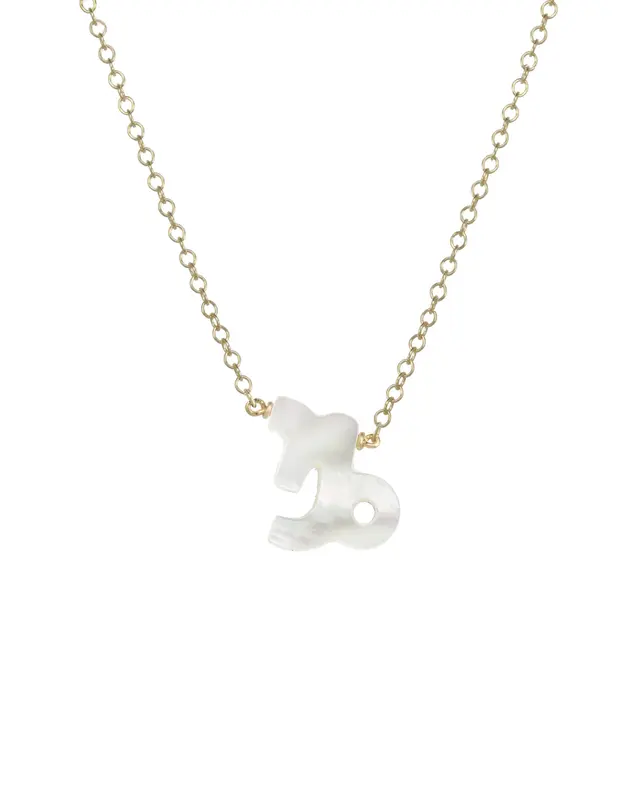 Zodiac Necklace | Metal Color: Gold | Sign: Capricorn
