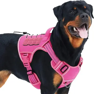 Adjustable Training Pet Vest, Durable Reflective Dog Harness, Easy To Control, Dog & Cat Accessories, Pet Supplies, Summer Gi...