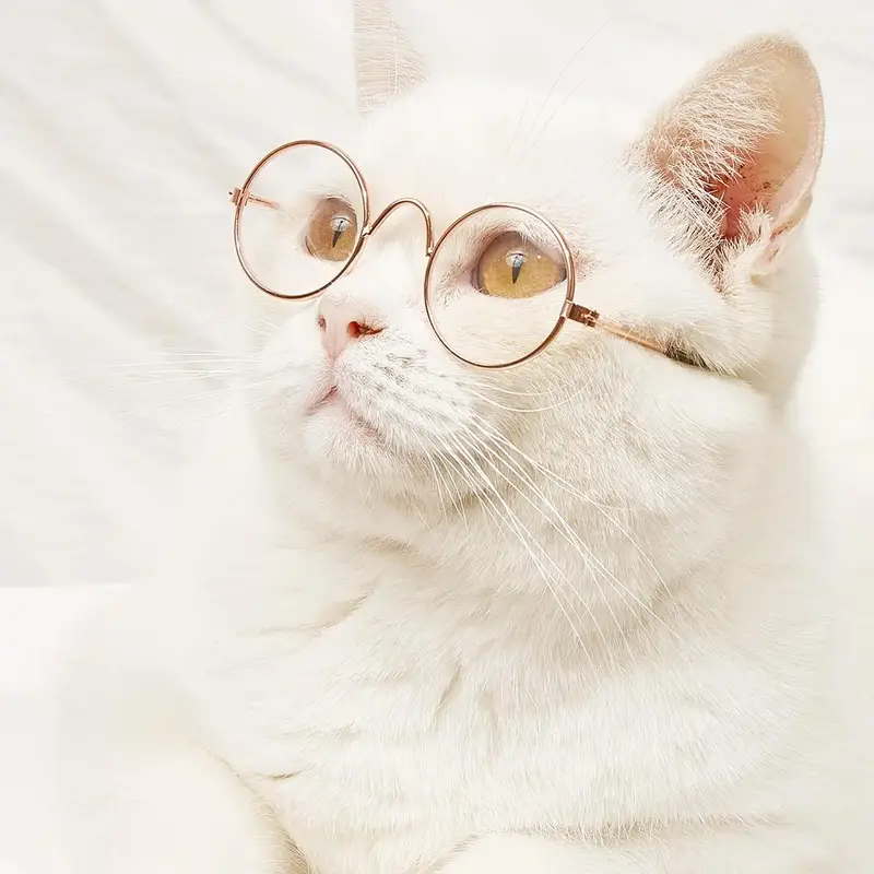Cute Cat Glasses, 1 Pair Fashion Pet Eyewear for Small Dogs & Cats, Pet Photo Props for Party, Daily Clothing Decor, Fun Pets...