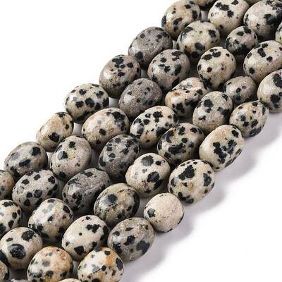 Natural Dalmatian Jasper Beads Strands